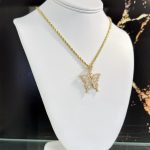14k Butterfly Pendant with Hollow rope Chain 18 inches 3 img 3112